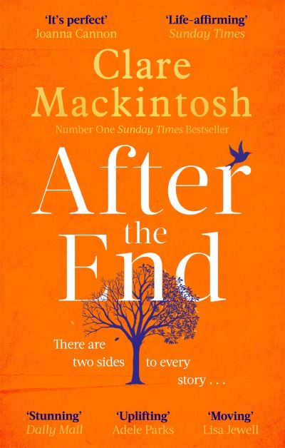 after the end book amy plum